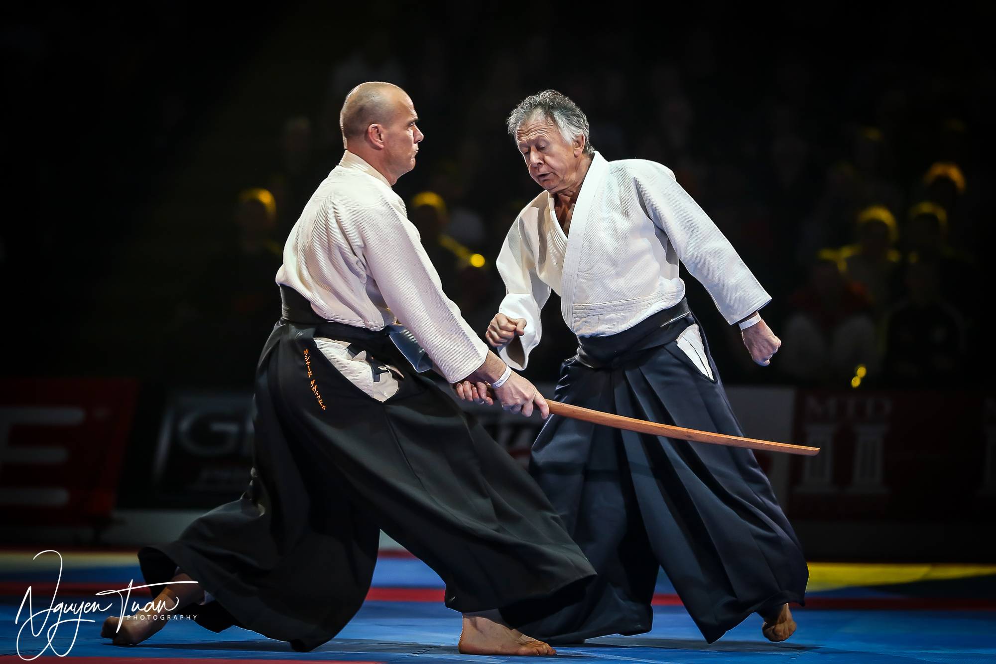 20190324 Festival des Arts Martiaux 2500